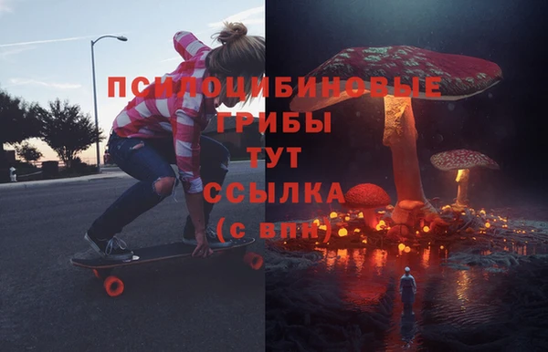 крисы Алексин